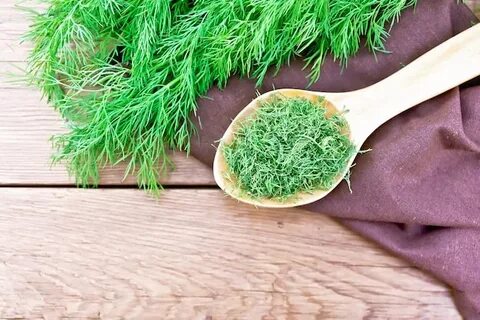 تصویر 1 از خرید شوید خشک فله ای در شیراز + فروش ویژه